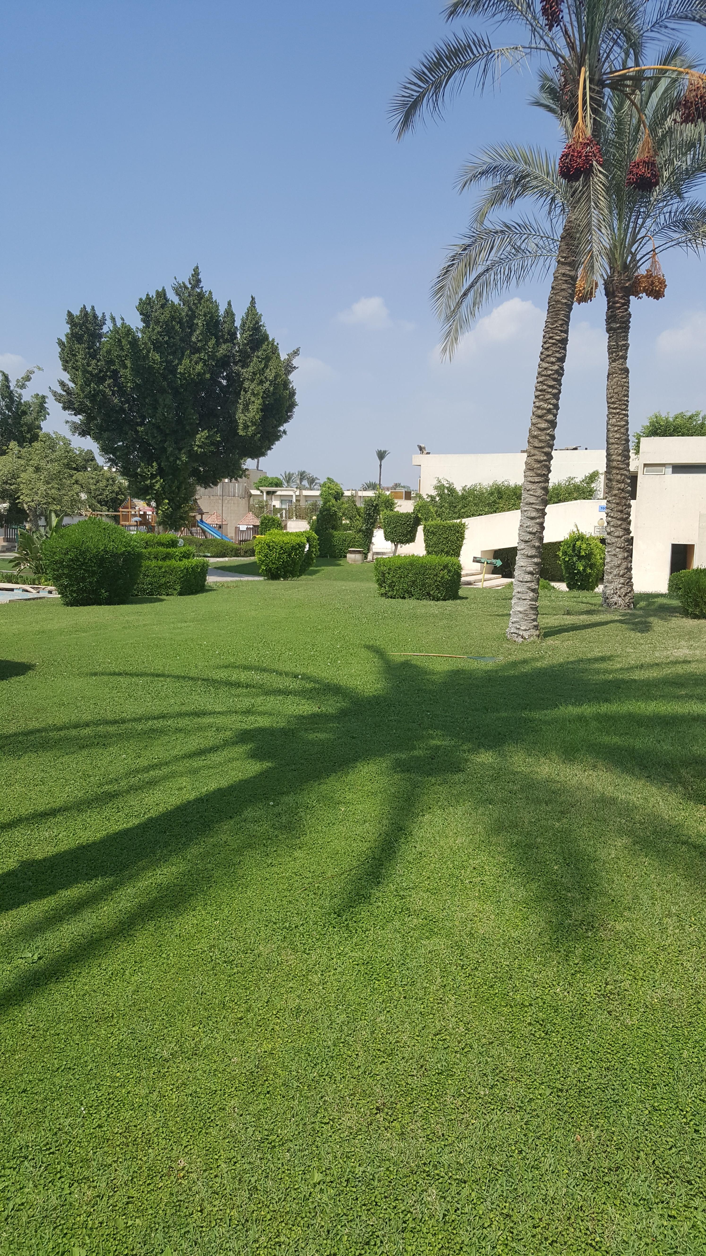 بيراميدز بارك ريزورت القاهرة - سابقا انتركونتيننتال بيراميدز بارك 4* Kafr Ghatati